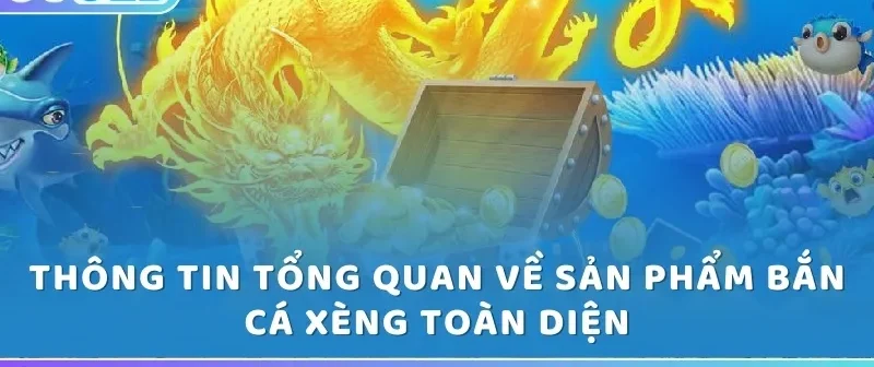 ban-ca-xeng-thong-tin-tong-quan